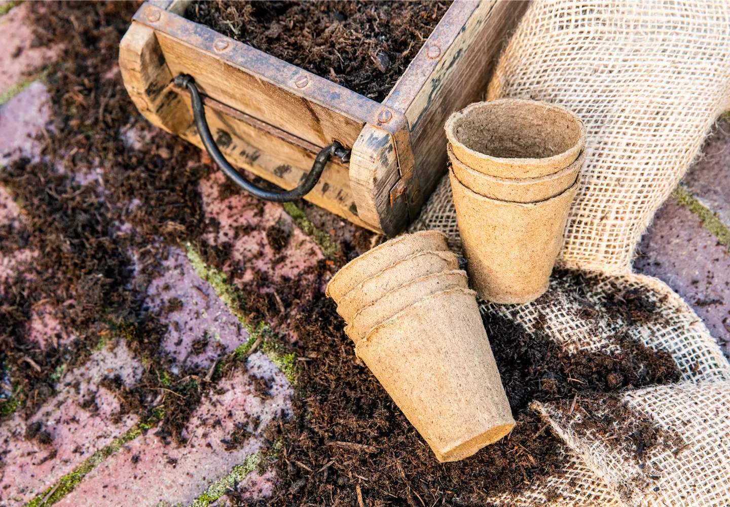 Erde in Holzkiste mit Anzuchttöpfen