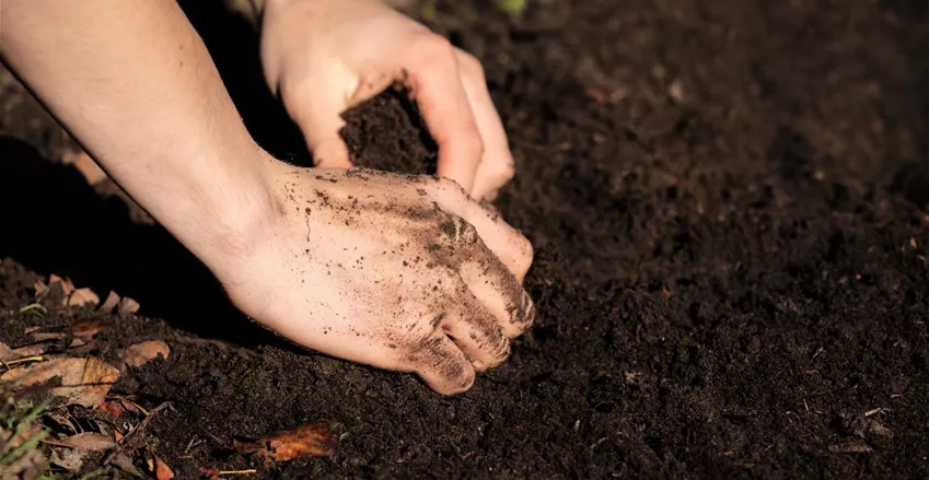 Die richtige Gartenerde fühlt sich locker und leicht an