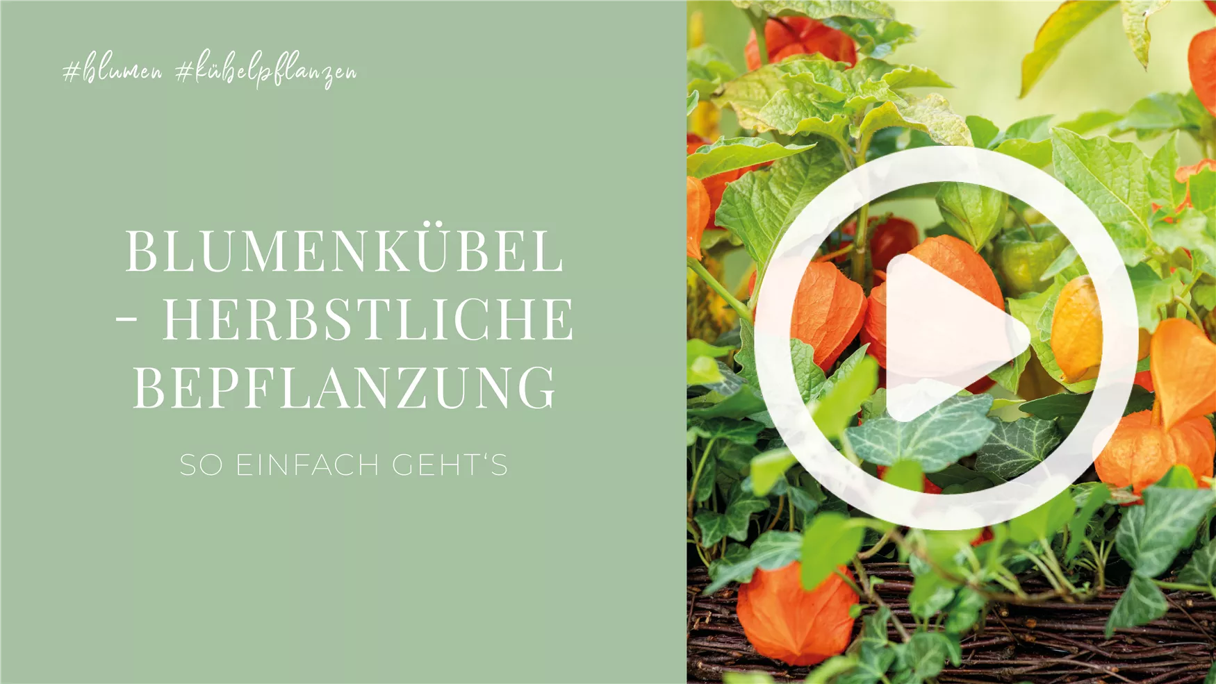 42+ Erde Für Kübelpflanzen, Kübelpflanzenerde ist eine spezialerde