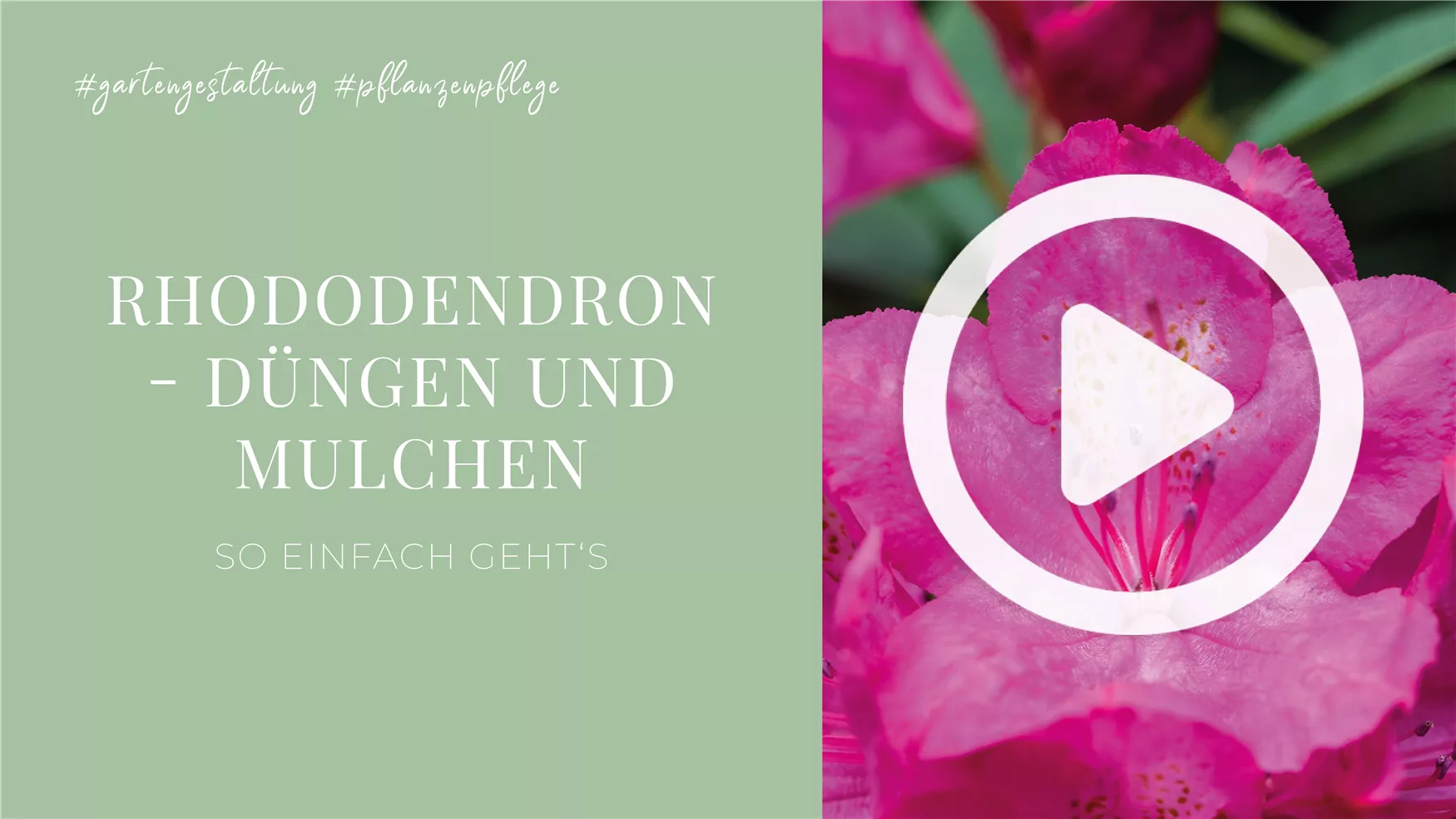 Der perfekte Gartendünger für deine Pflanzen