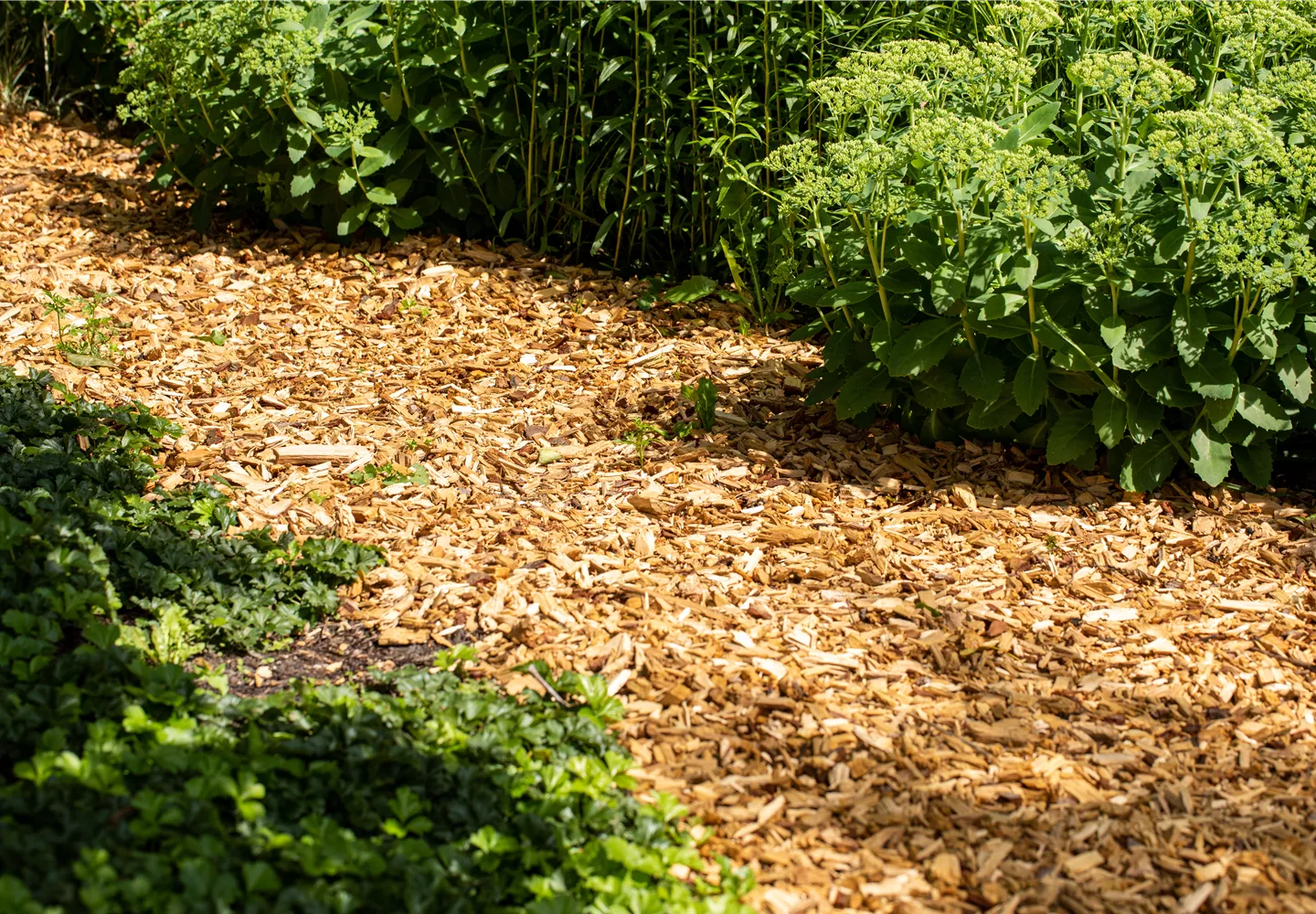Rindenmulch grob & fein günstig online kaufen Florado.de