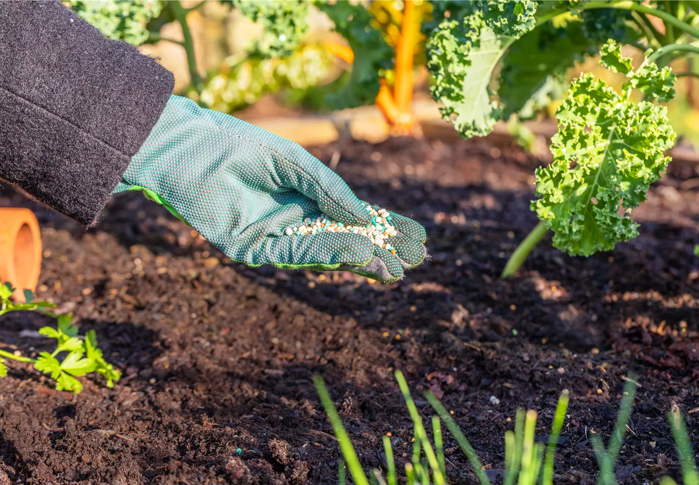 Warum biologischer Dünger eine echte Geheimwaffe ist