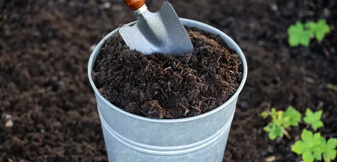 Frux Bio GärtnerKompost online kaufen Florado