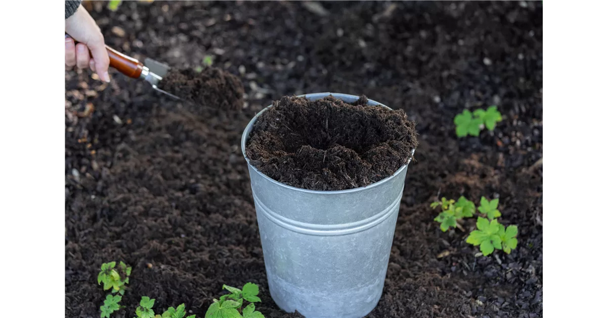 Gartenerde günstig online kaufen Florado.de