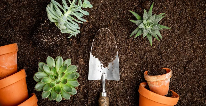 Blumenerde ohne Dünger günstig online kaufen Florado.de