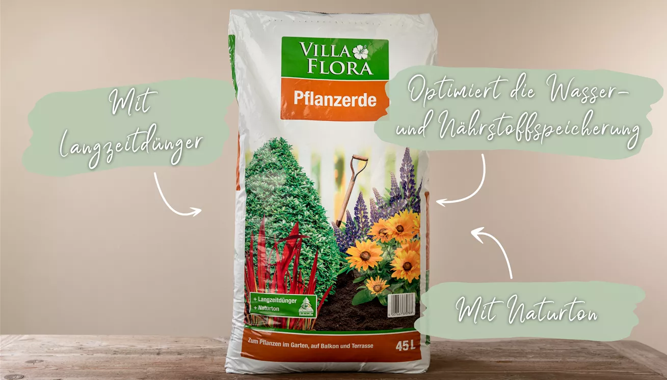 Villa Flora Pflanzerde kaufen Florado