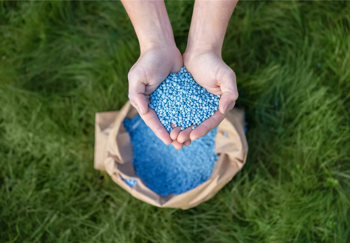 Dünger - Blaukorn Dünger - Blaukorn