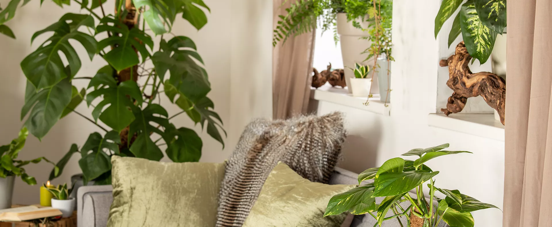 Monstera_Shop-the-Look Monstera_Shop-the-Look