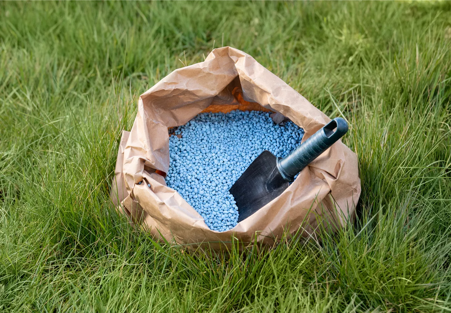 Dünger - Blaukorn Dünger - Blaukorn
