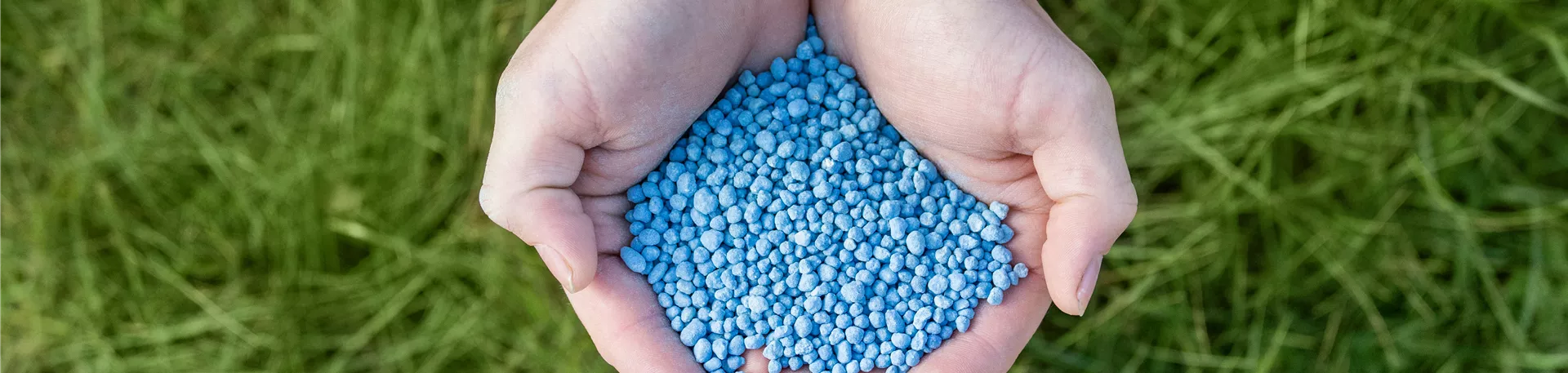 Dünger - Blaukorn Dünger - Blaukorn