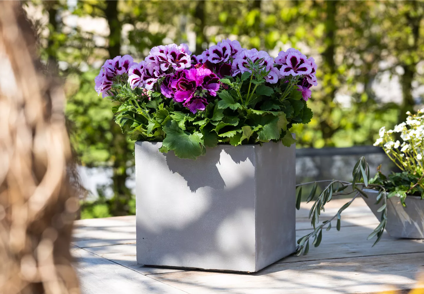 Bepflanzter Kübel im Gartenambiente Bepflanzter Kübel im Gartenambiente