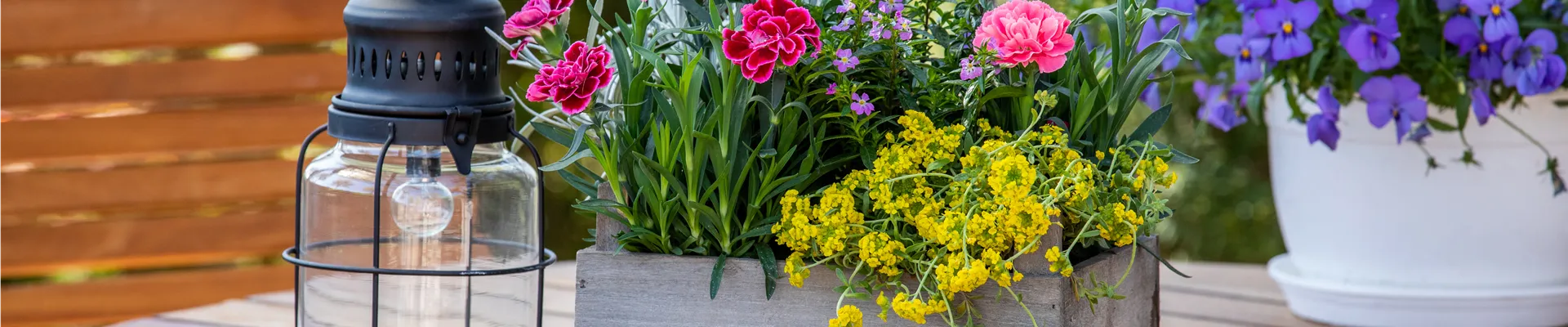 Bepflanzter Übertopf im Gartenambiente