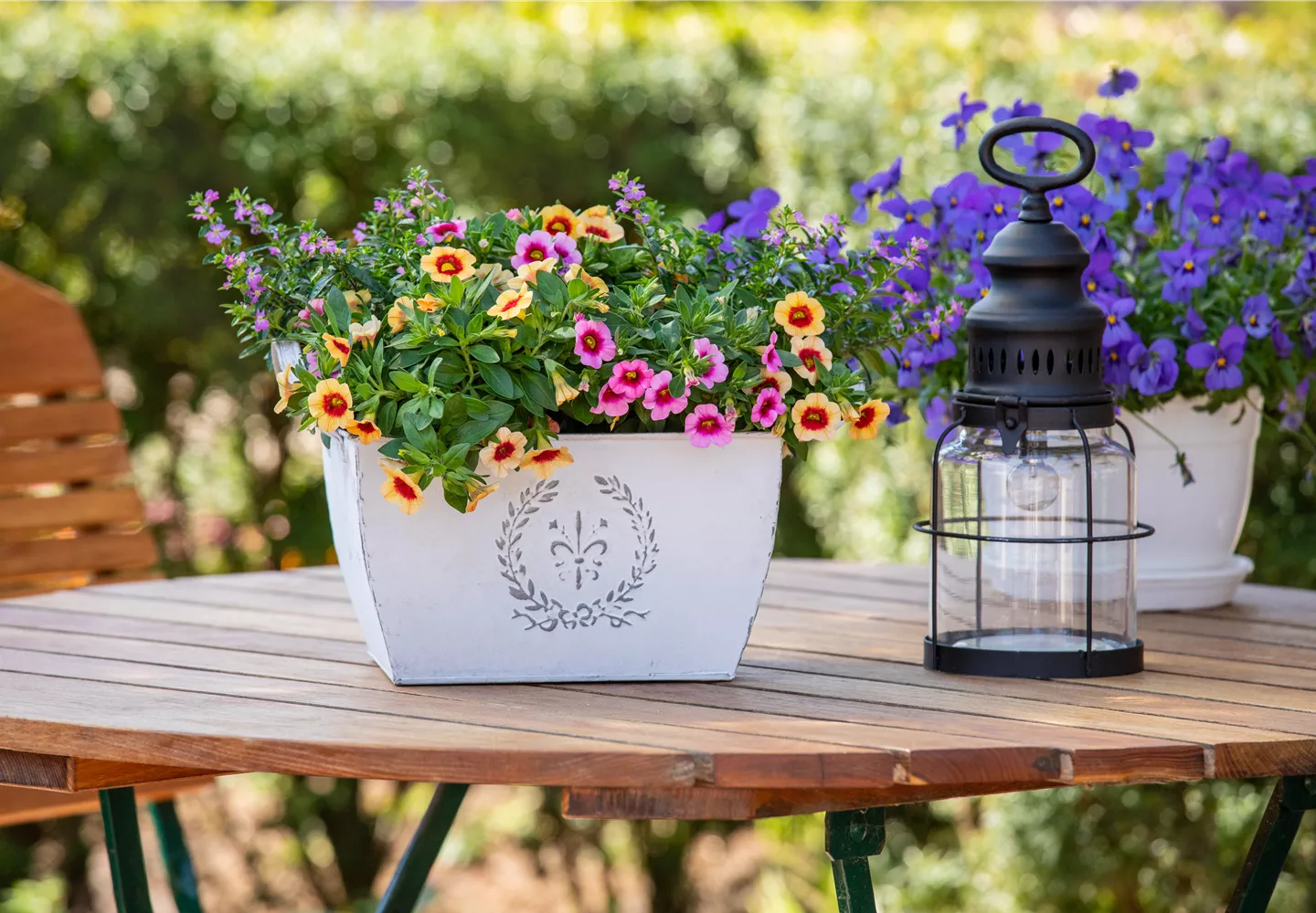 Bepflanzter Übertopf im Gartenambiente Bepflanzter Übertopf im Gartenambiente