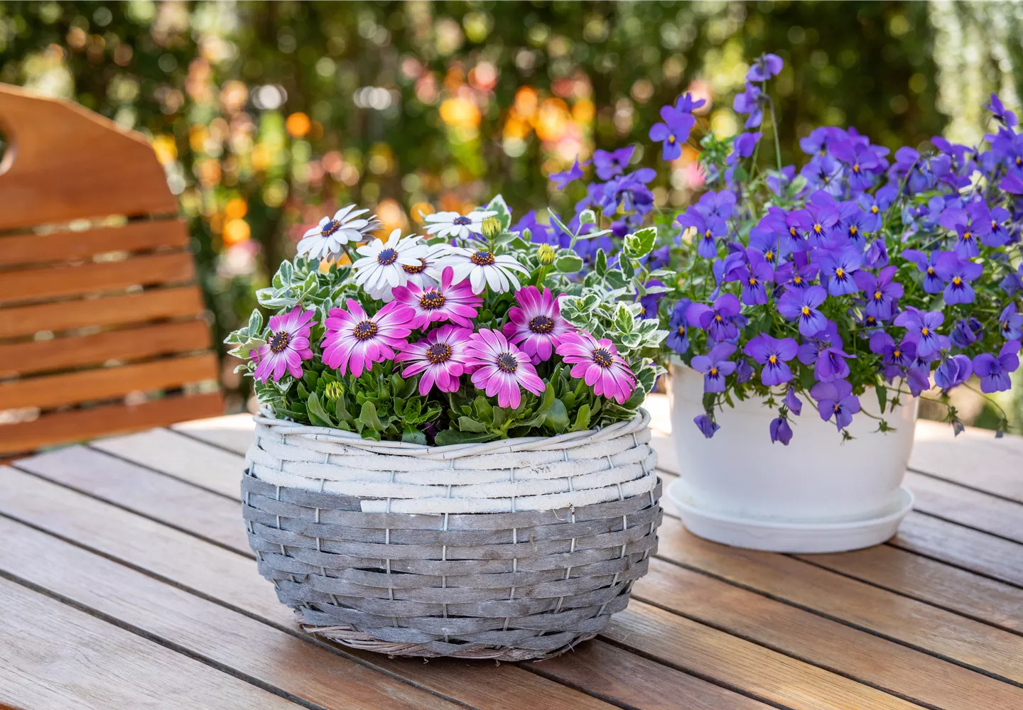 Bepflanzter Korb im Gartenambiente Bepflanzter Korb im Gartenambiente