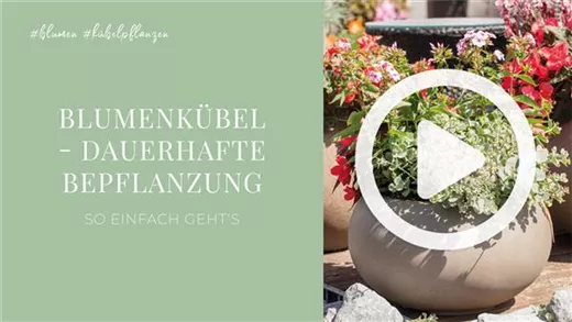 Blumenkübel - Dauerhafte Bepflanzung