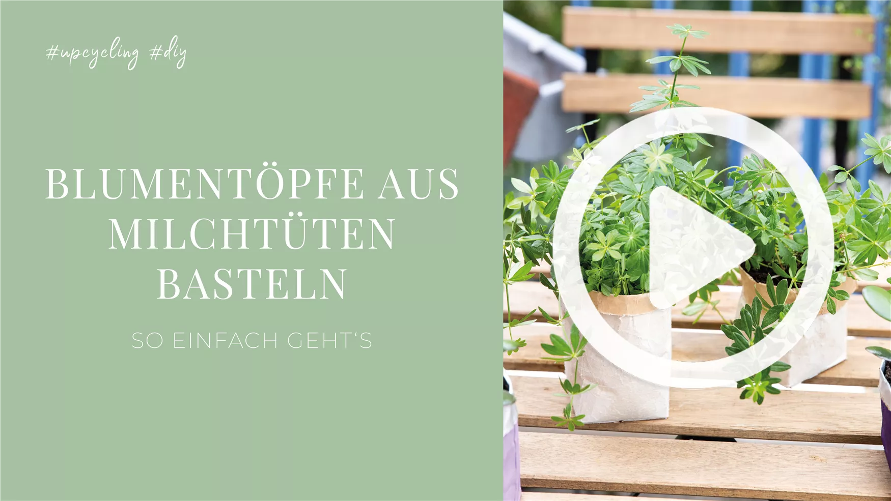Blumentöpfe aus Milchtüten basteln Blumentöpfe aus Milchtüten basteln