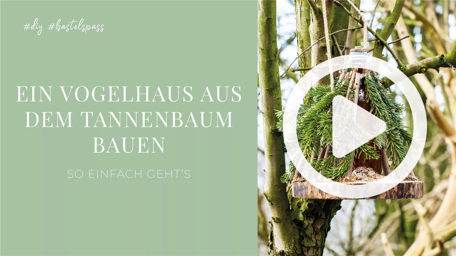Ein Vogelhaus aus dem Tannenbaum bauen Ein Vogelhaus aus dem Tannenbaum bauen