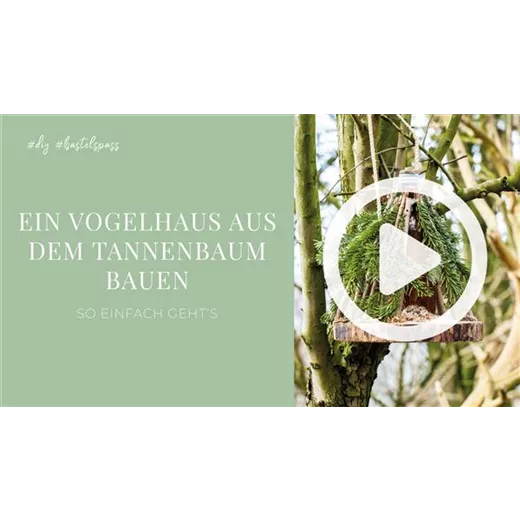 Ein Vogelhaus aus dem Tannenbaum bauen