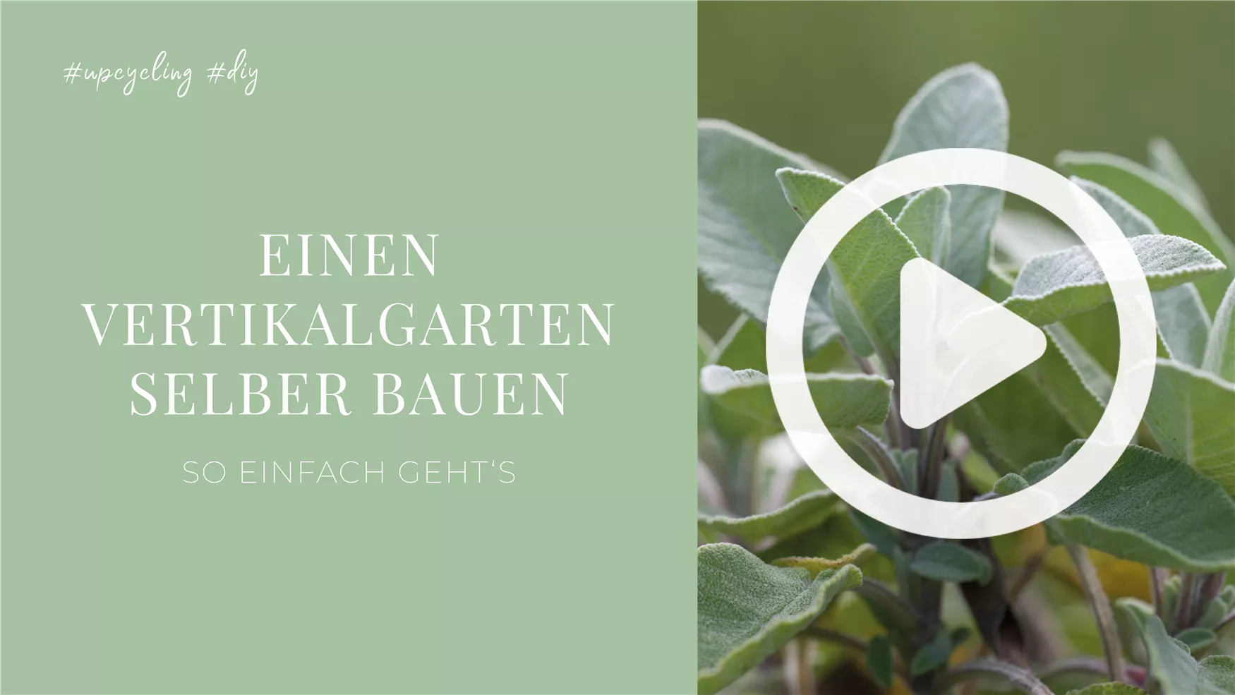 Einen Vertikalgarten selber bauen Einen Vertikalgarten selber bauen