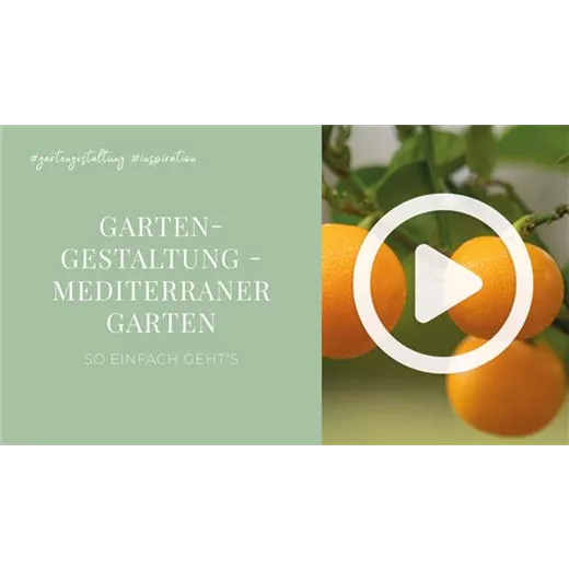 Gartengestaltung - Mediterraner Garten Gartengestaltung - Mediterraner Garten