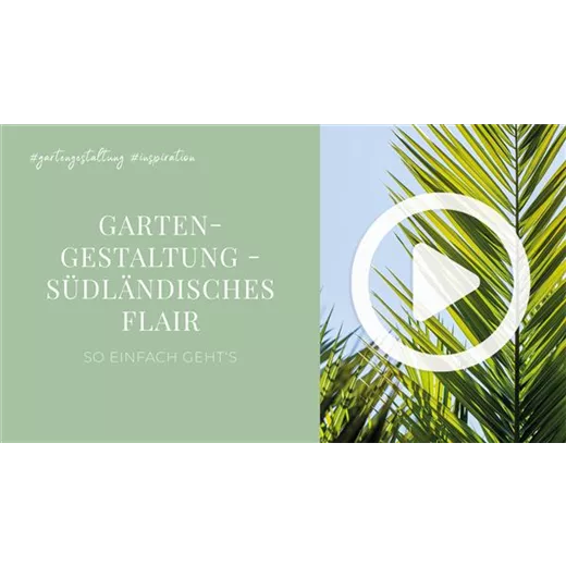 Gartengestaltung - Südländisches Flair Gartengestaltung - Südländisches Flair