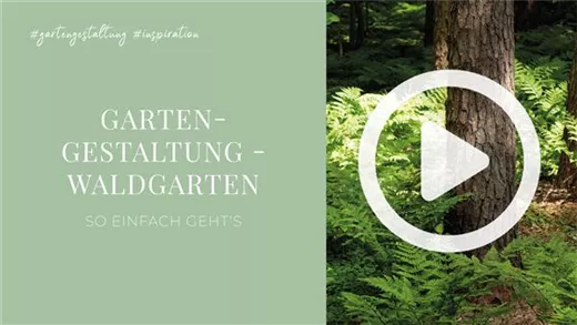 Gartengestaltung - Waldgarten Gartengestaltung - Waldgarten