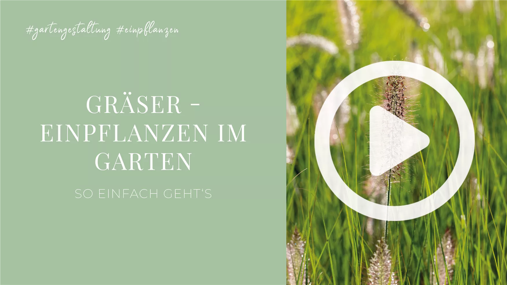 Gräser - Einpflanzen im Garten Gräser - Einpflanzen im Garten