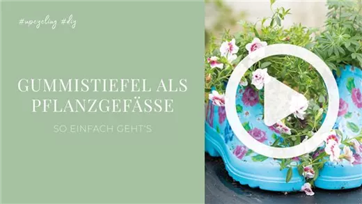 Gummistiefel als Pflanzgefäße Gummistiefel als Pflanzgefäße
