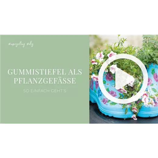 Gummistiefel als Pflanzgefäße Gummistiefel als Pflanzgefäße