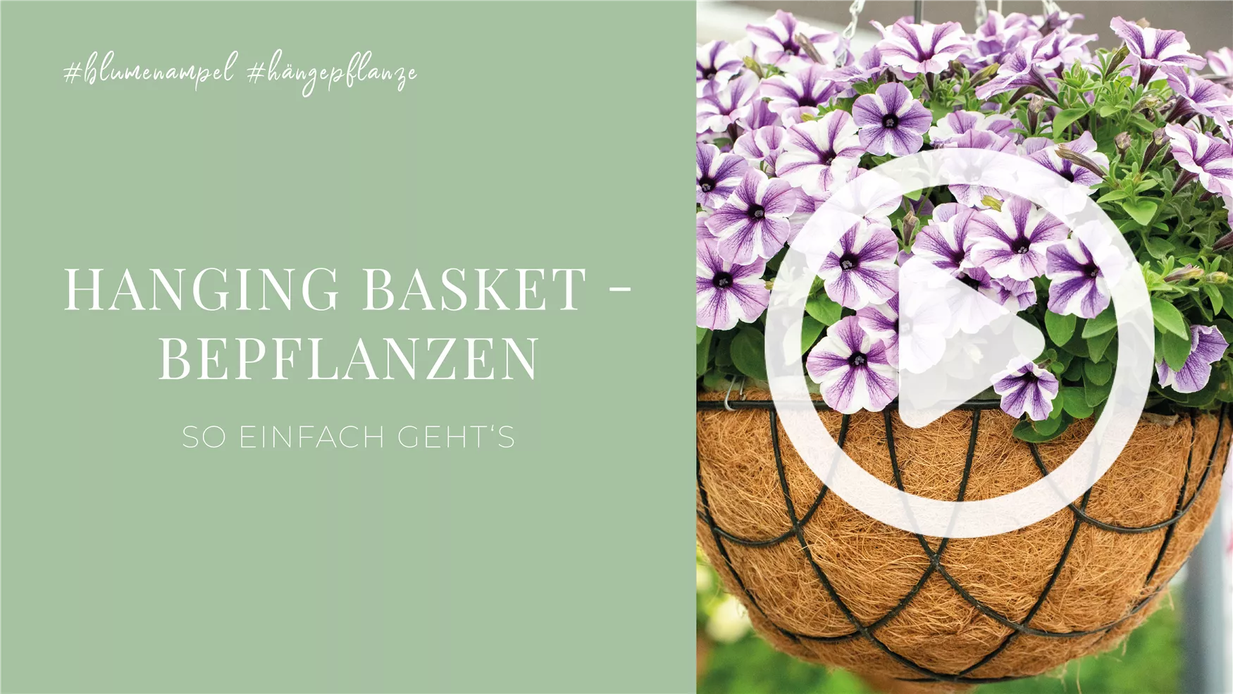 Hanging Basket - Bepflanzen