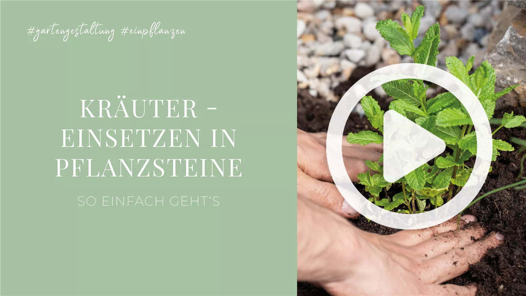 Kräuter - Einsetzen in Pflanzsteine Kräuter - Einsetzen in Pflanzsteine