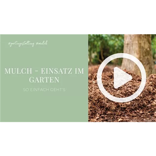 Mulch - Einsatz im Garten Mulch - Einsatz im Garten