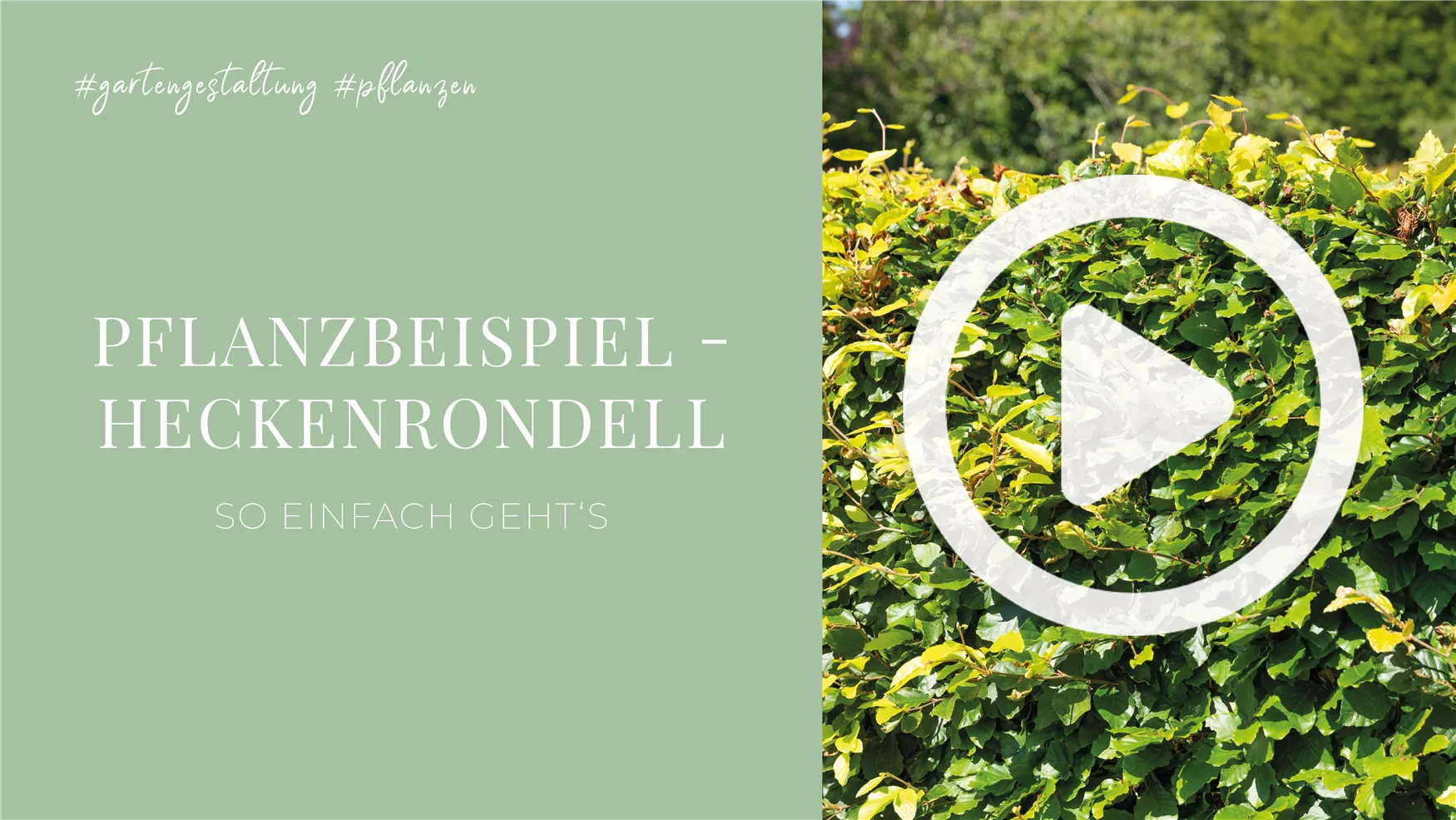Pflanzbeispiel - Heckenrondell