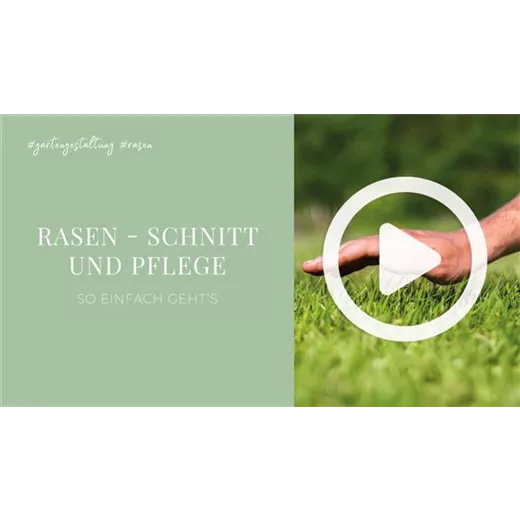 Rasen - Schnitt und Pflege