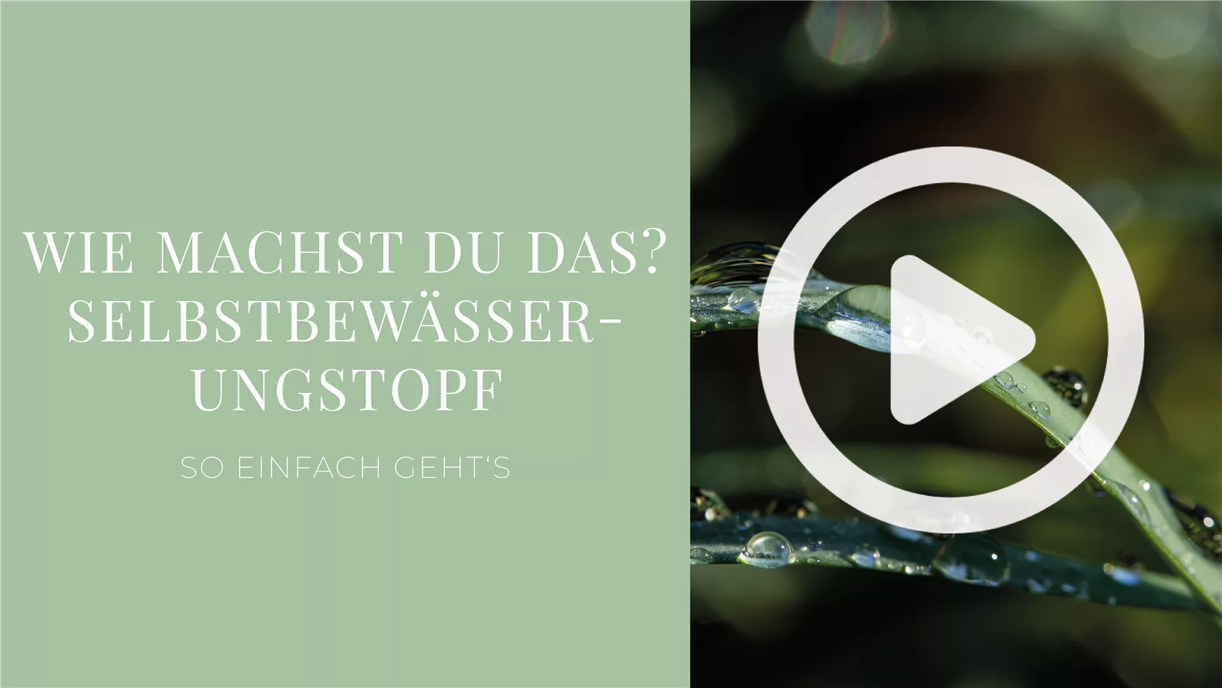 Wie machst du das? - Selbstbewässerungstopf bauen Wie machst du das? - Selbstbewässerungstopf bauen