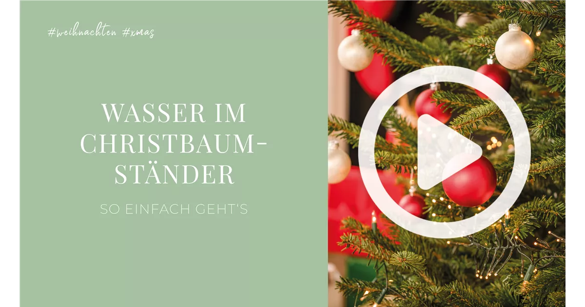 Wasser im Christbaumständer