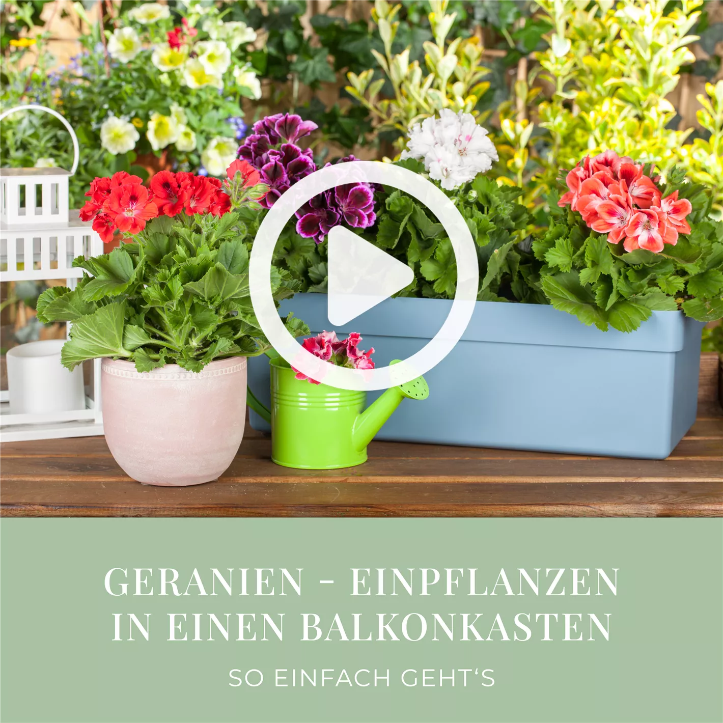 blumenkasten cortenstahl Dreieck Cortenstahl-Blumenkasten