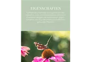 Frux Bio Blumenerde -torffrei- 60l - Weitere Eigenschaften 