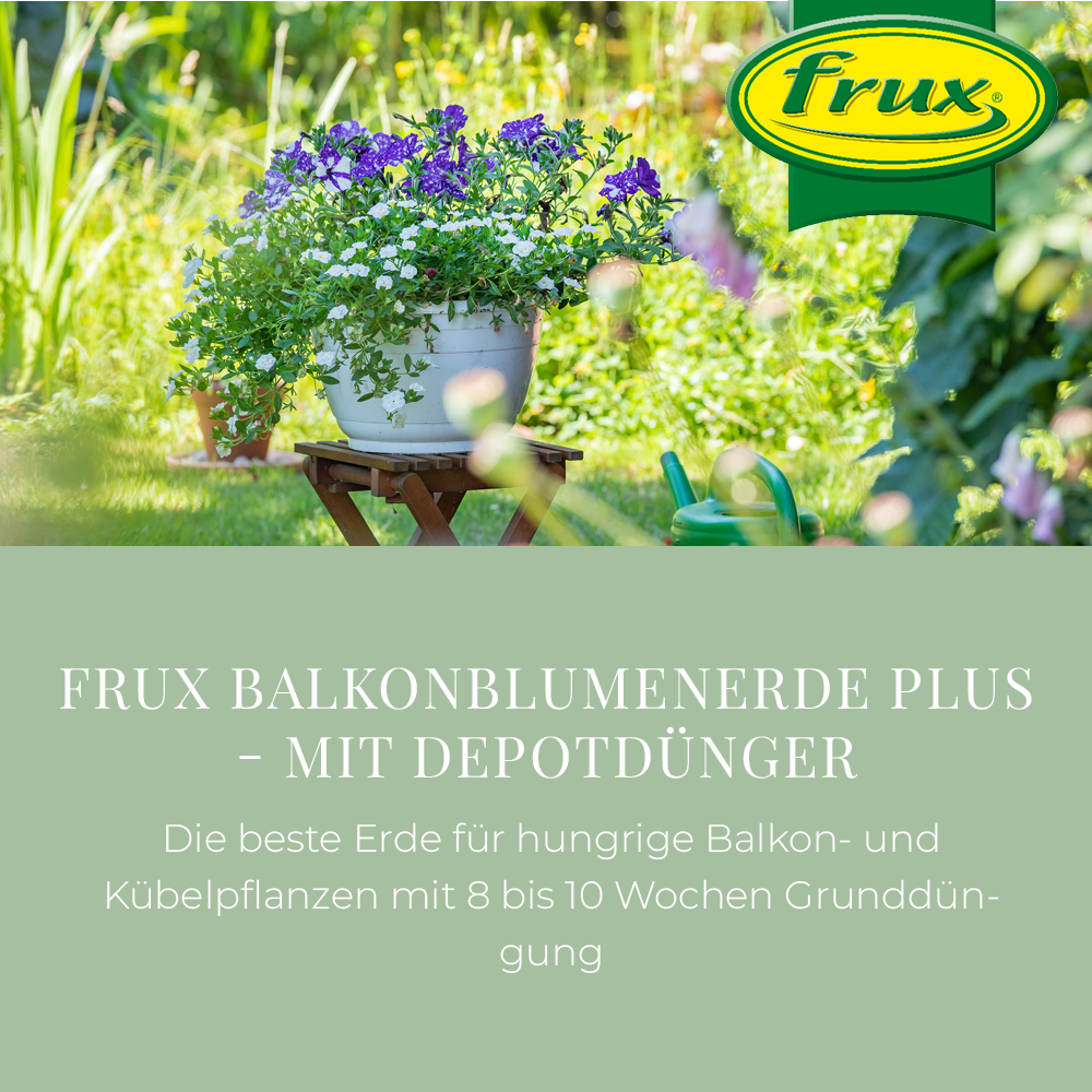 getreide saatgut selber machen BIO Saatgut Getreide Winterdinkel  Biogartenladen