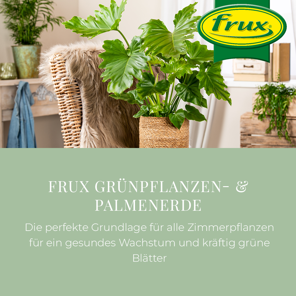 Frux Grnpflanzen- & Palmenerde kaufen | Florado