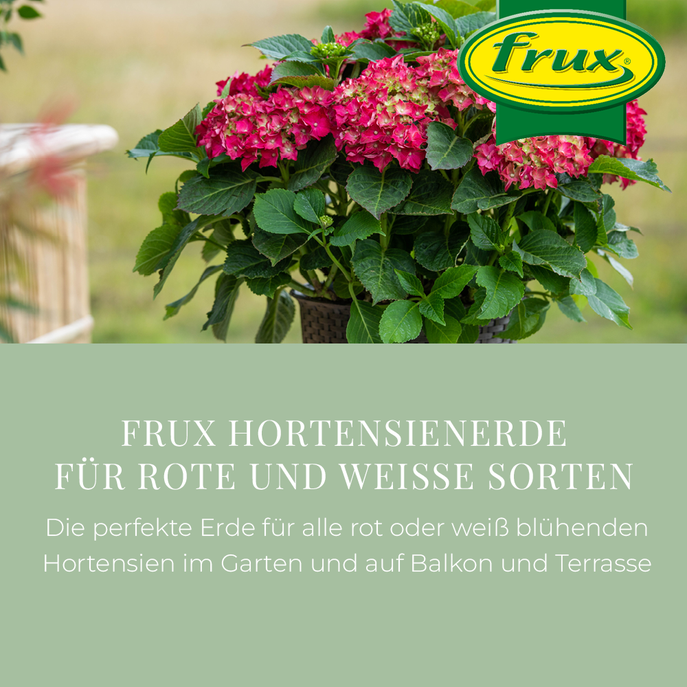 npk dünger pro m2 Volldünger NPK 15-15-15 Frühjahr, Sommer und Herbst – TerraDomi Onlineshop