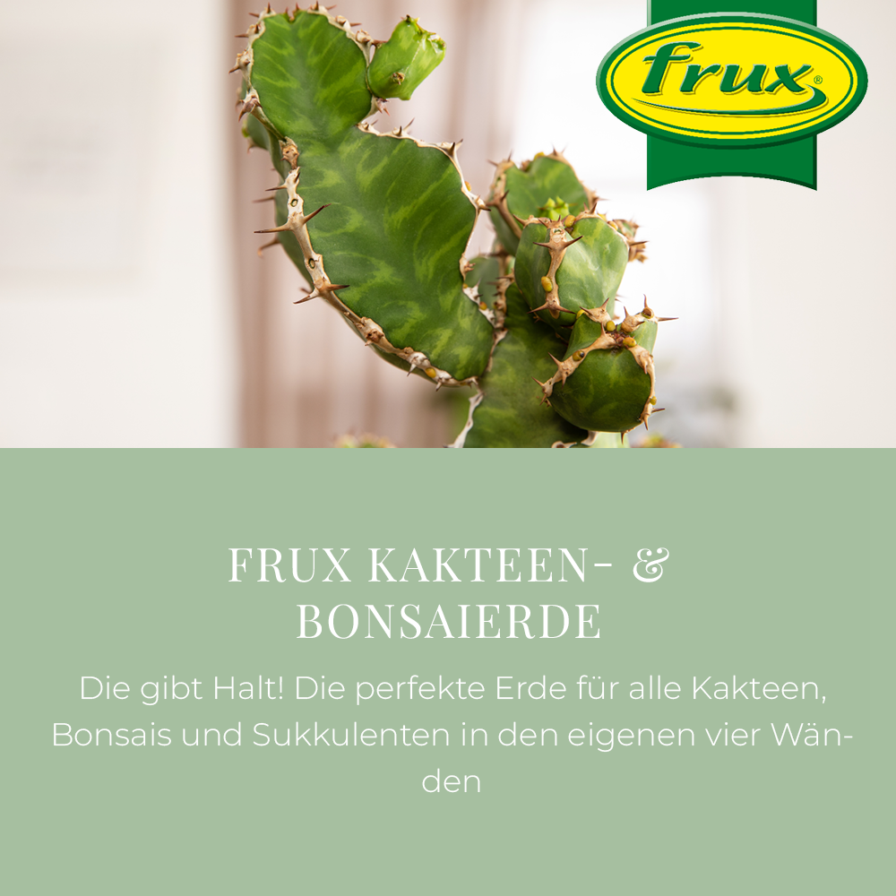 Frux Kakteen- & Bonsaierde