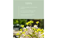 Frux Rhododendron- & Moorbeeterde 18l - Marketingnutzen