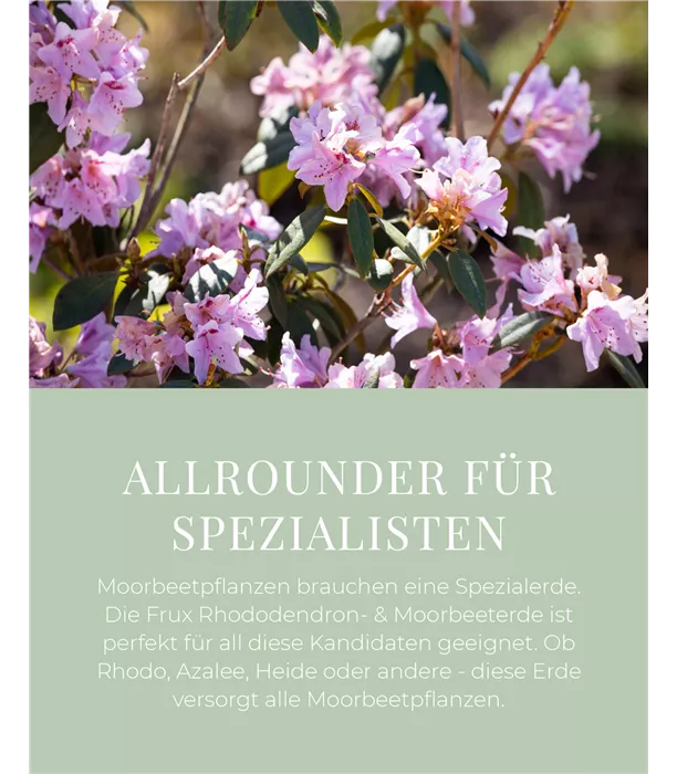 Frux Rhododendron- & Moorbeeterde 18l - Emotionaler Nutzen 