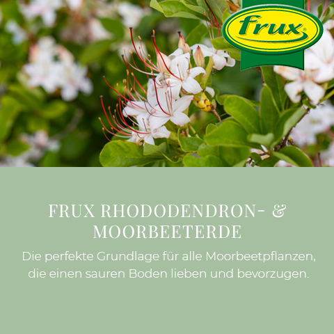 Frux Rhododendron- & Moorbeeterde kaufen | Florado