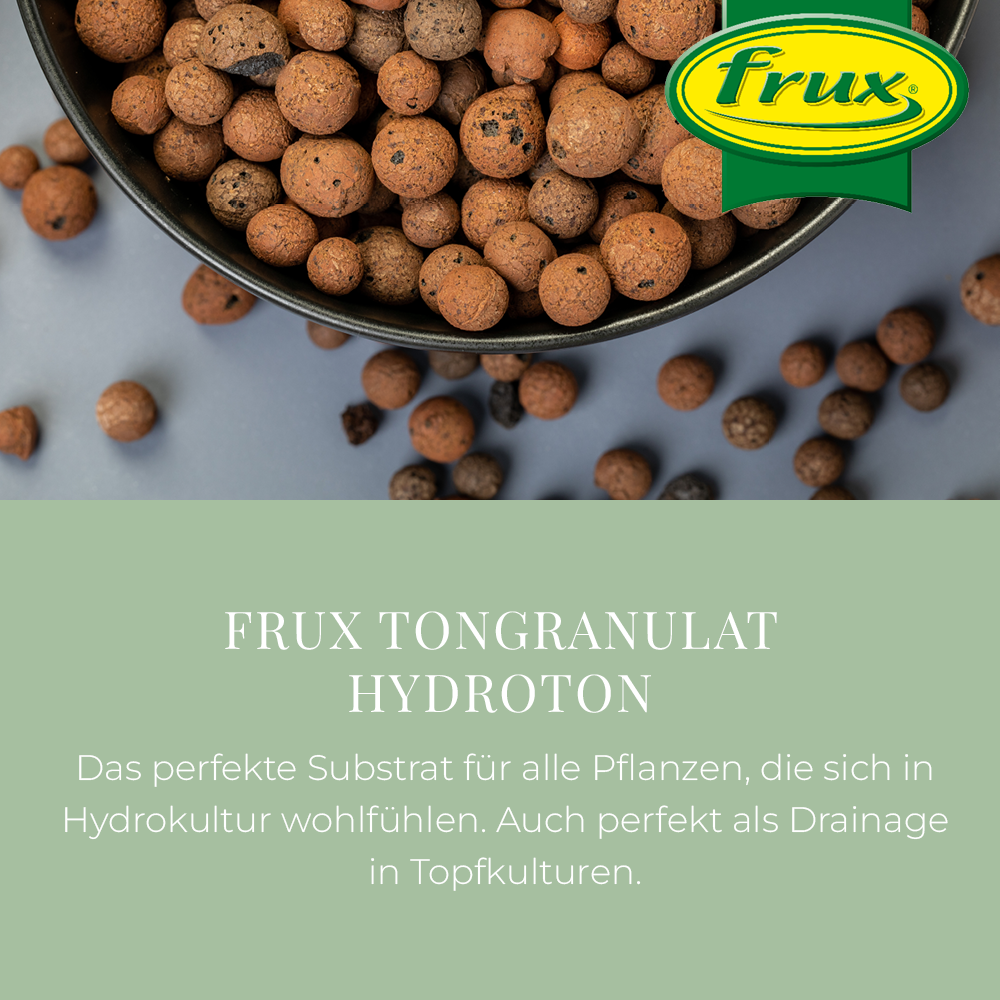 dünger für glanzmispel red robin Kaufen Sie jetzt Heckenpflanze Glanzmispel Photinia fraseri 'Red Robin' -  Winterhart kaufen main image 0