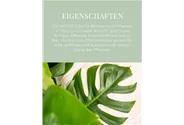 NATUR Erde für Blumen und Pflanzen im Haus und im Garten 45l - Weitere Eigenschaften 