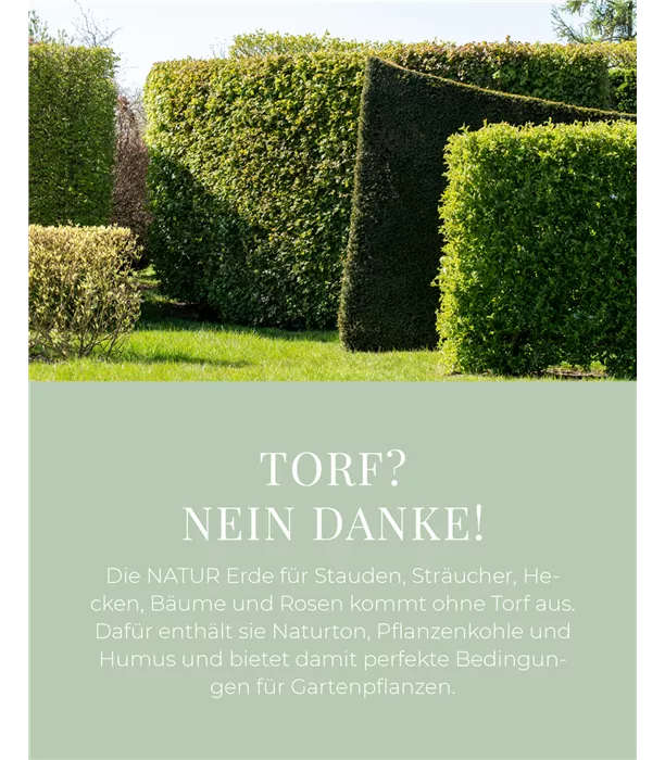 NATUR Erde für Stauden, Sträucher, Hecken, Bäume und Rosen 70l - Emotionaler Nutzen 