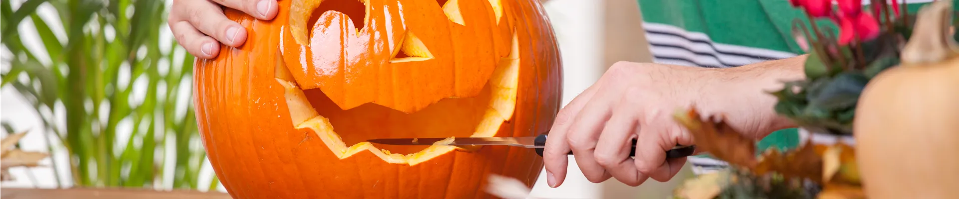 Halloween Kürbis vorbereiten
