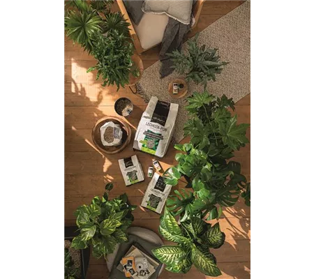 LECHUZA Pon Pflanzgranulat